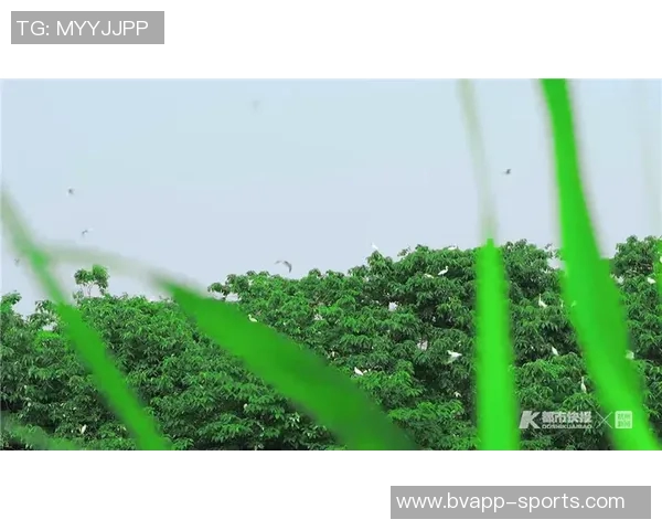 德转动态：王浩然加盟梅州李岳峰外租厦门飞鹭高天语转会杭州临平吴越